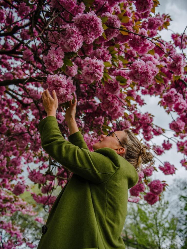 Krokusse, Magnolien, Kirschblüten: 13 Orte, an denen der Frühling in Dortmund besonders schön ist