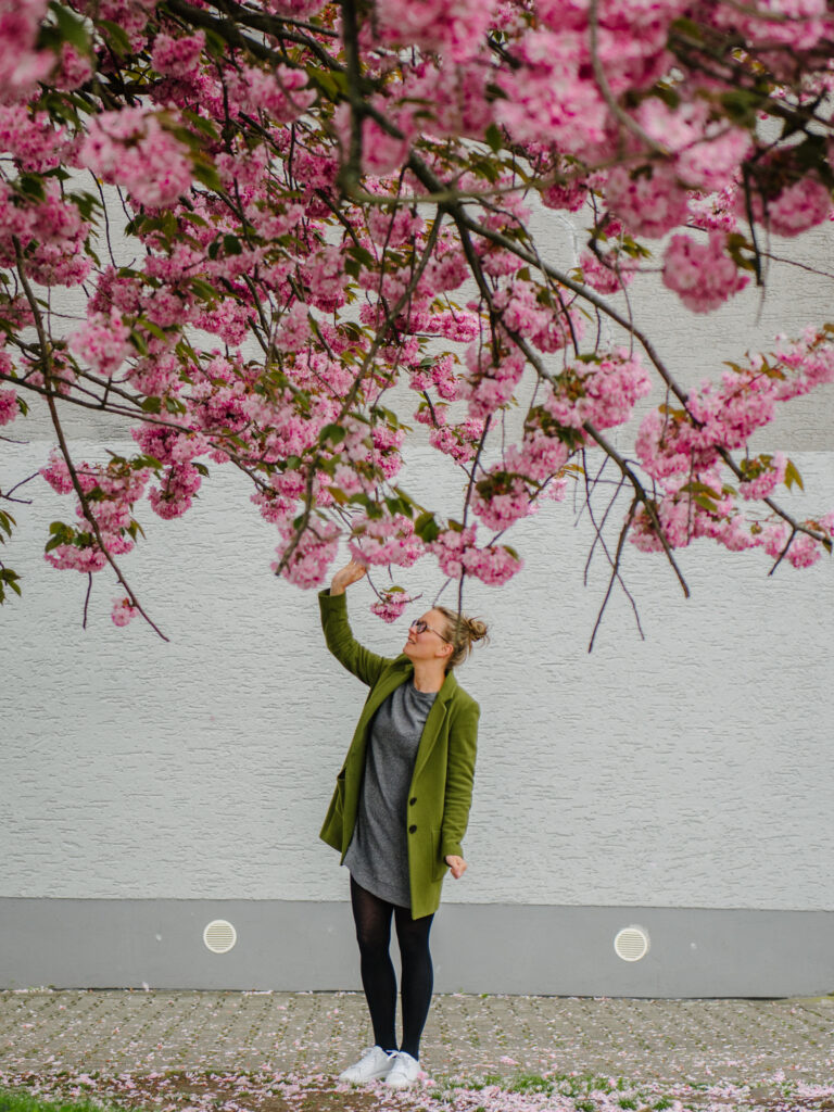 Krokusse, Magnolien, Kirschblüten: 13 Orte, an denen der Frühling in Dortmund besonders schön ist