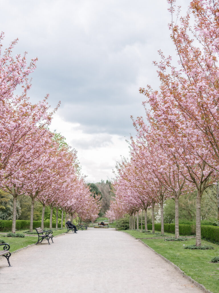 Rombergpark Dortmund