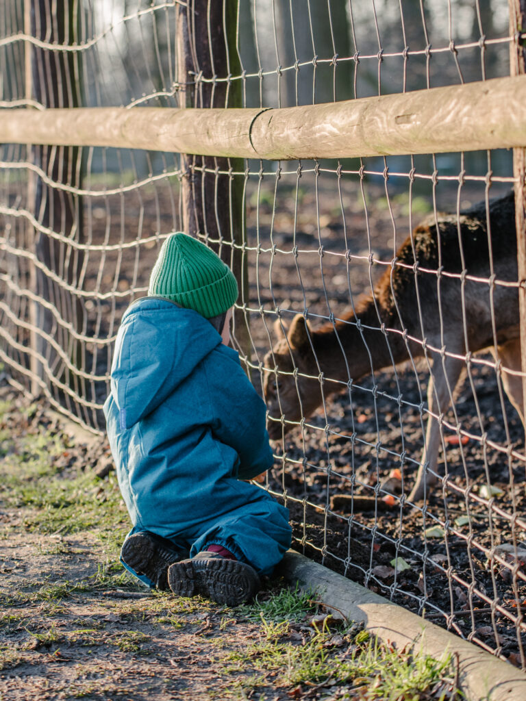 Ausflugsziel mit Kindern in der Nähe von Dortmund: Wildschweingehege Buschkämpken