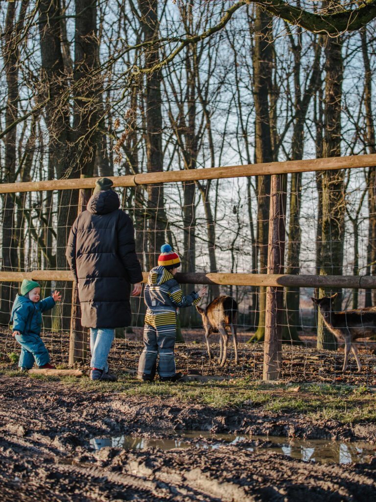 Ausflugsziel mit Kindern in der Nähe von Dortmund: Wildschweingehege Buschkämpken