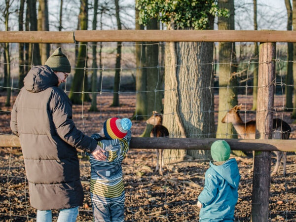 Ausflugsziel mit Kindern in der Nähe von Dortmund: Wildschweingehege Buschkämpken