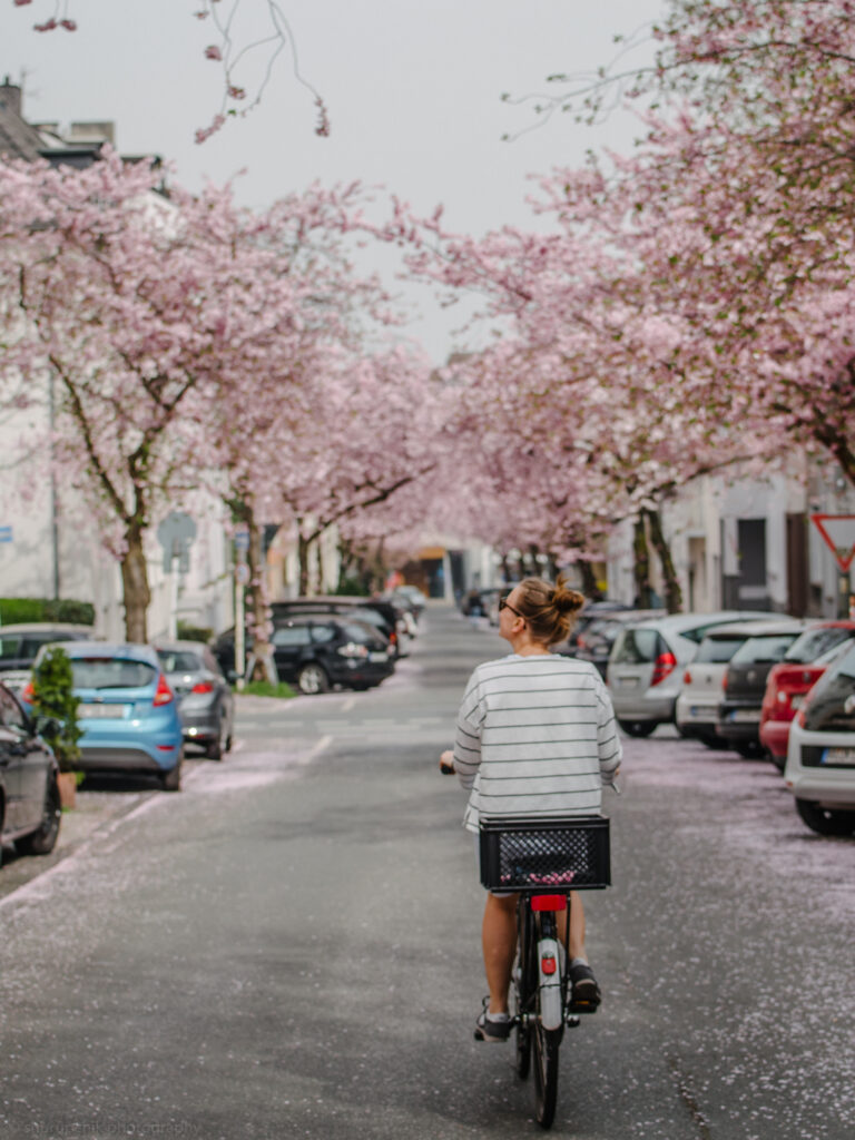 Krokusse, Magnolien, Kirschblüten: 13 Orte, an denen der Frühling in Dortmund besonders schön ist