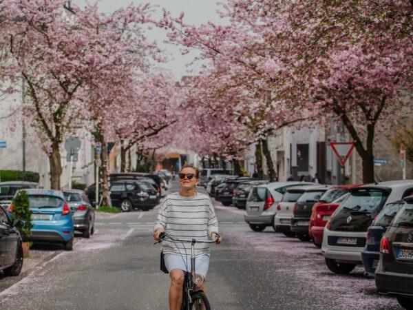 Krokusse, Magnolien, Kirschblüten: 13 Orte, an denen der Frühling in Dortmund besonders schön ist