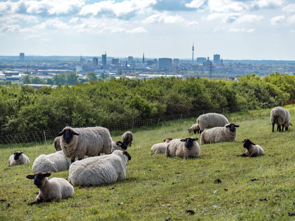 Die 20 schönsten Parks und Grünanlagen in Dortmund