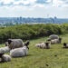 Die 20 schönsten Parks und Grünanlagen in Dortmund