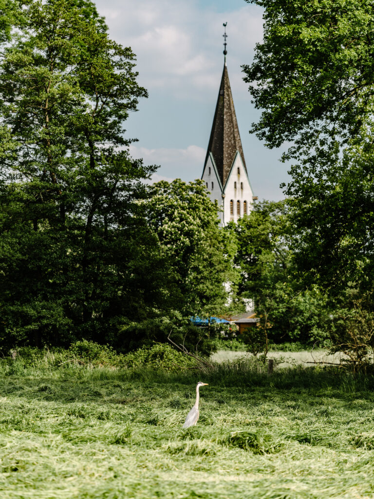 Die 20 schönsten Parks und Grünanlagen in Dortmund