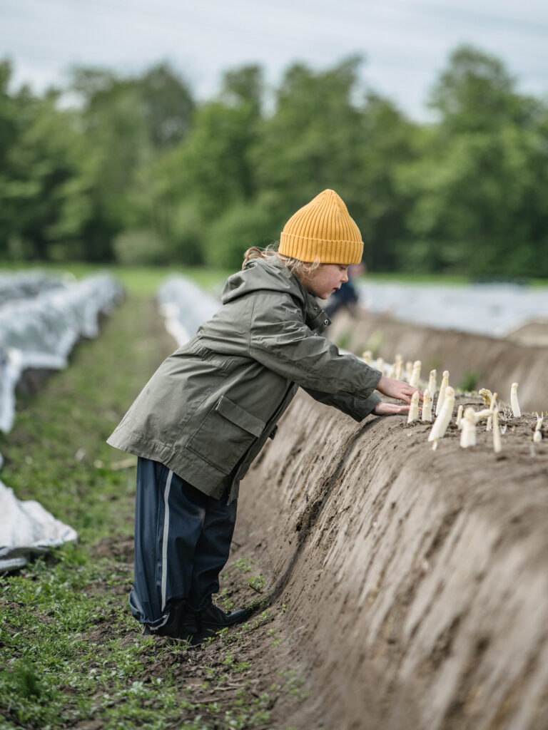 spargel selber stechen in dortmund