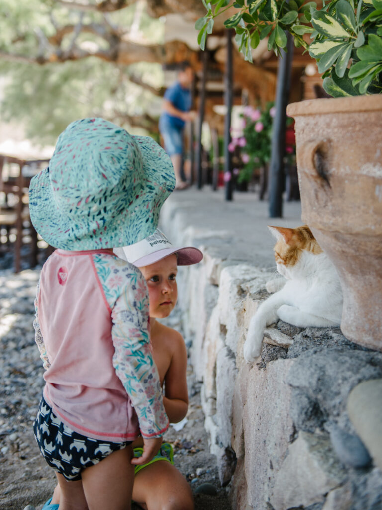 katzen und kinder Kreta Griechenland