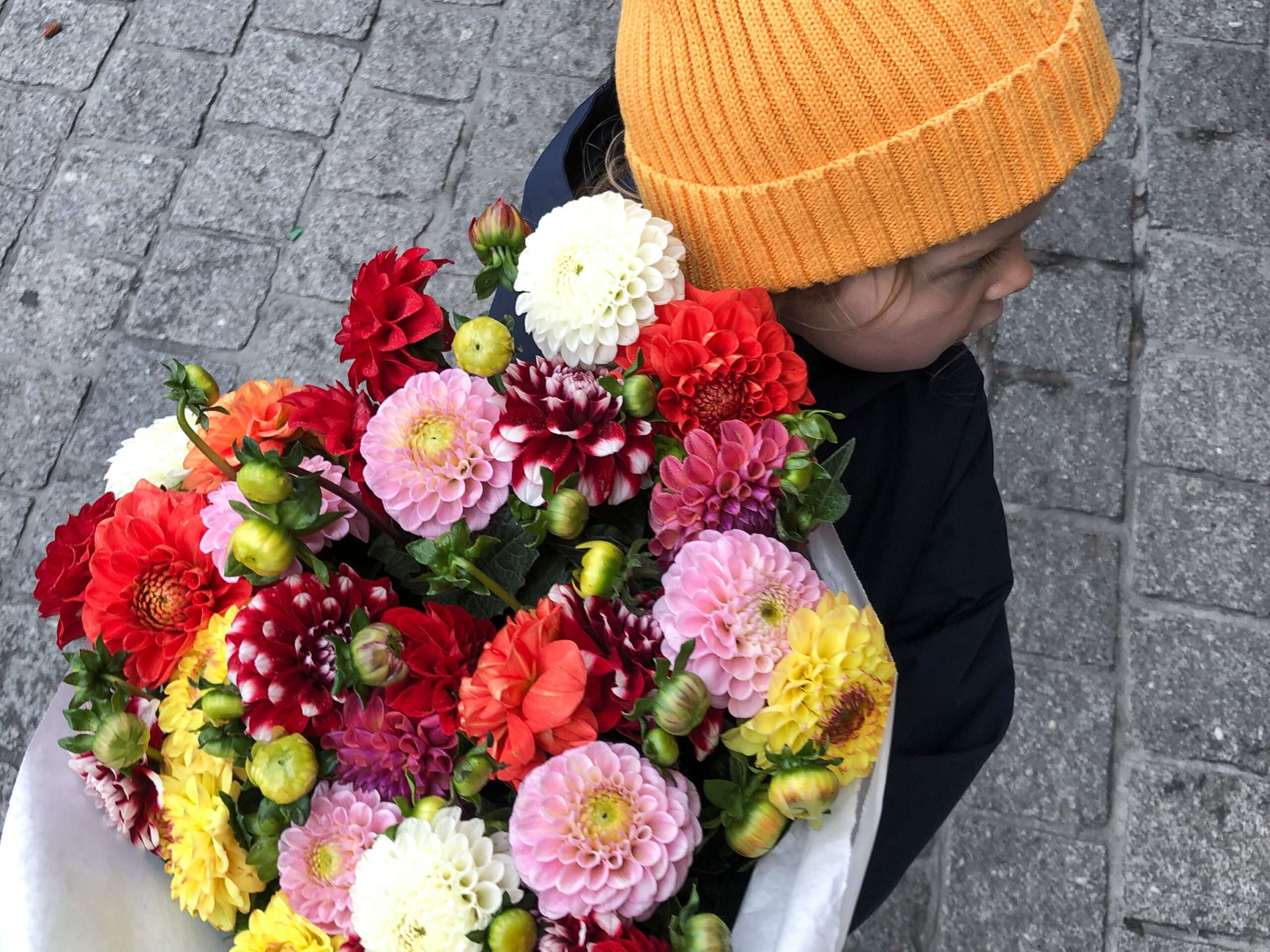 Frhlingsgefhle fr zuhause: Unsere Lieblings-Blumenlden in Dortmund